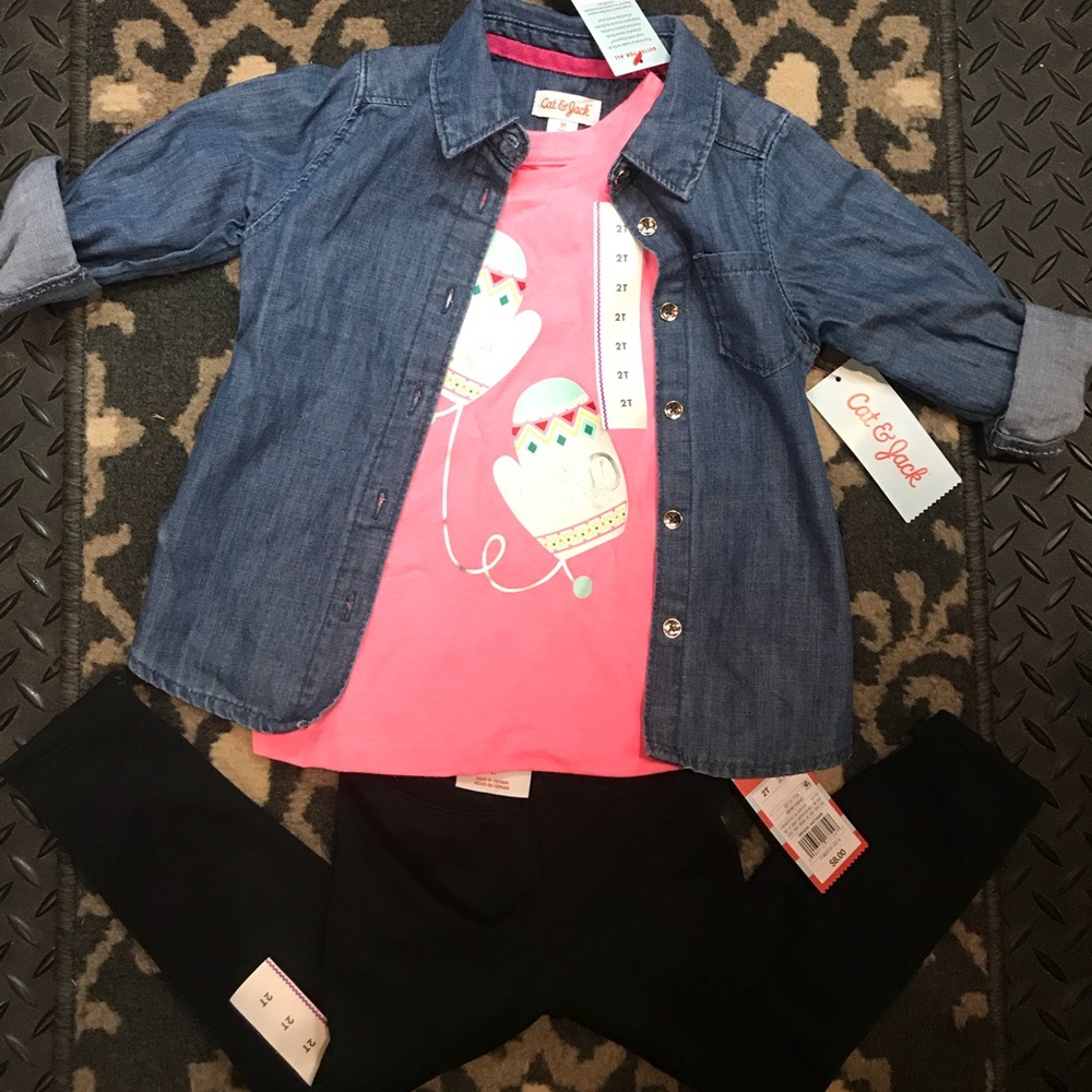 Girls 2T outfit
